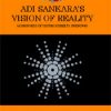 Book Adi Sankara`s Vision Of Reality