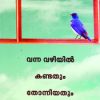 Book Vanna Vazhiyil Kandathum Thonniyathum