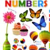 Book It’s My Board Book Of Numbers