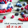 Book Visudhachumbanam
