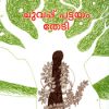 Book Chuvappu Pattayam Thedi