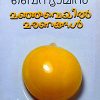 Book Manjaveyil Maranangal