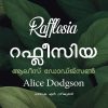 Book RAFFLESIA