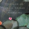 Book THE GOD OF SMALL THINGS