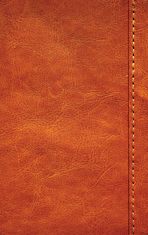 Montricher-Diary-Back-Cover Montricher-Diary-Back-Cover