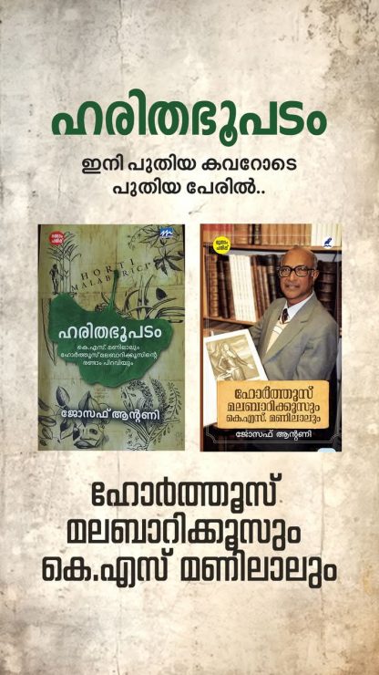 WhatsApp Image 2025-02-09 at 05.02.58 WhatsApp Image 2025-02-09 at 05.02.58