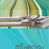 Book Neechavedam