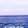 Book Bharathappuzha Rajan Chunkath