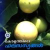 Book Keralathile Phalasasyangal