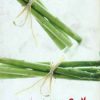 Book Sanwich