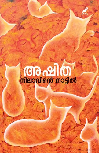 NILAAVINTE NAATTIL