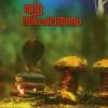 Book RUDRASIMHASANAM