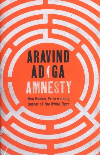 AMNESTY (paperback)