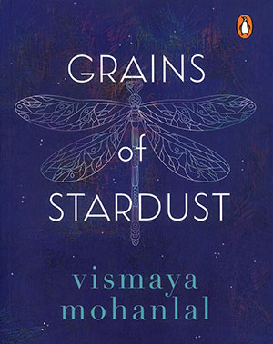 GRAINS OF STARDUST