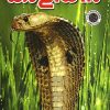 Book KAALIYAN