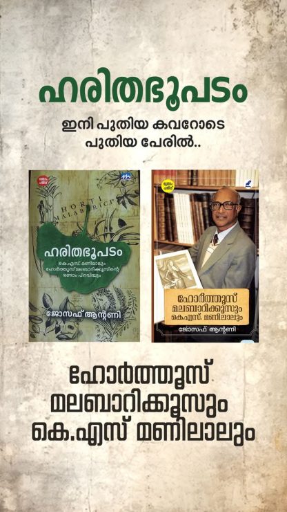WhatsApp Image 2025-02-09 at 05.02.58